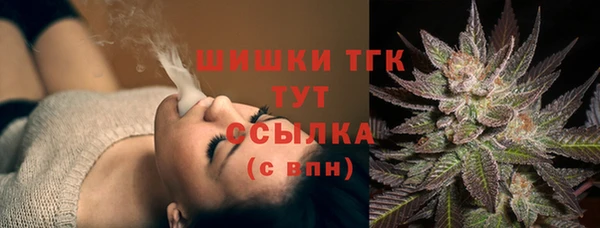 PSILOCYBIN Алексеевка