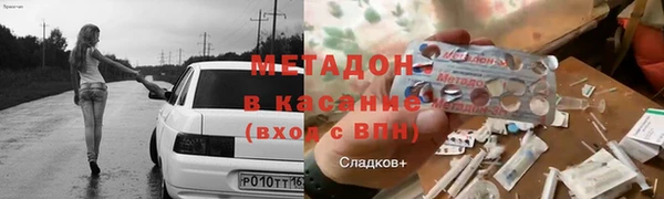 индика Алзамай