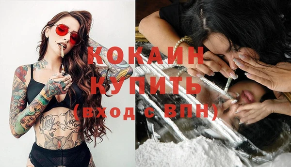 индика Алзамай