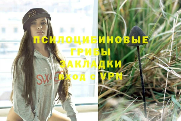 PSILOCYBIN Алексеевка