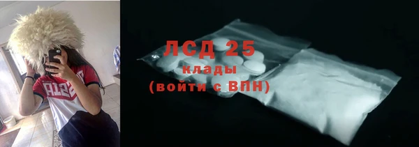 хмурый Алексин
