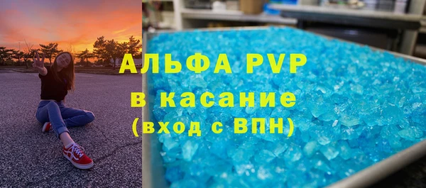 хмурый Алексин