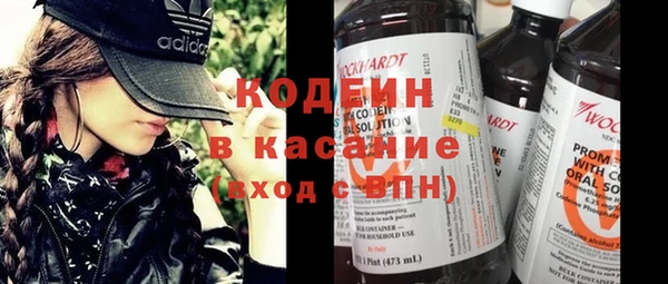 индика Алзамай